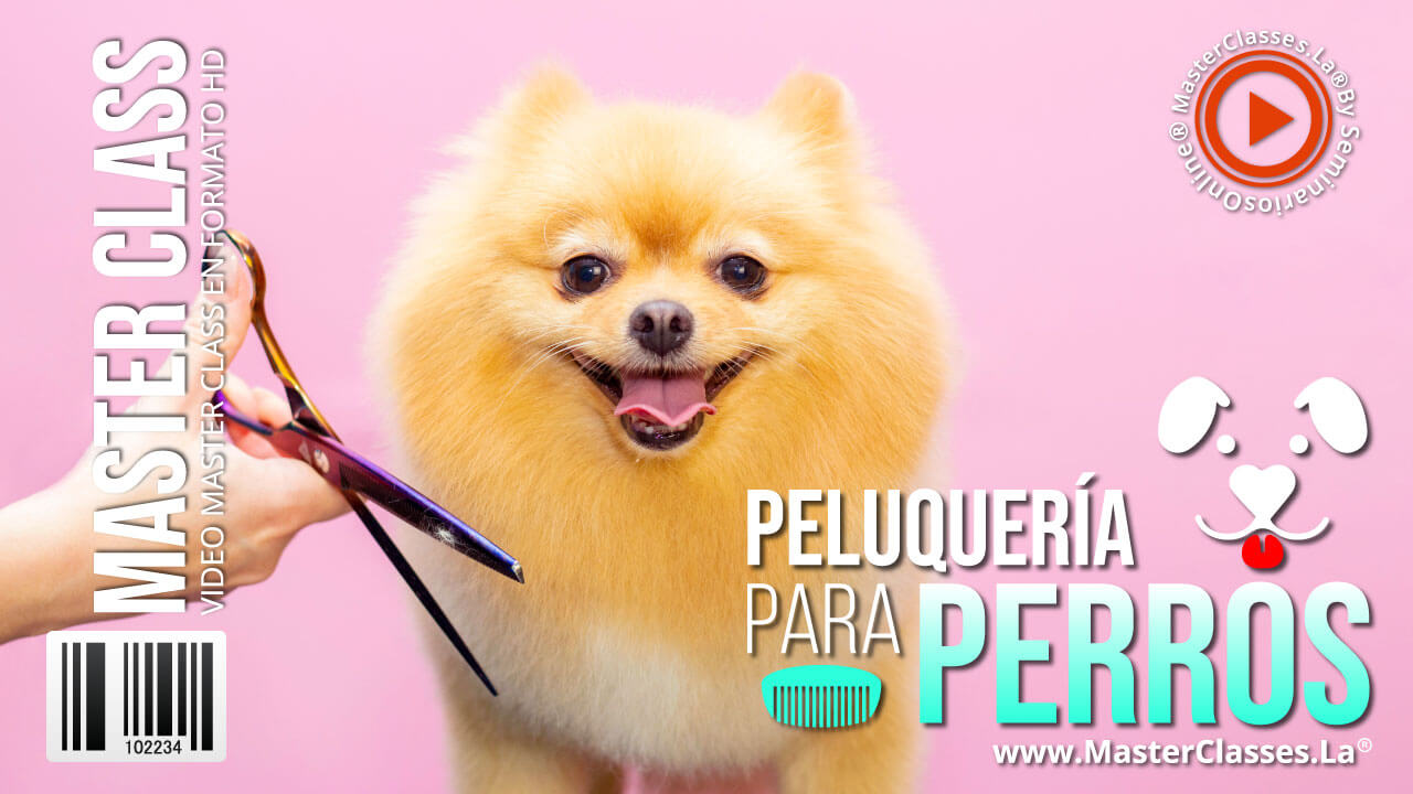 Peluqeiria Perros